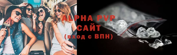 хмурый Магас