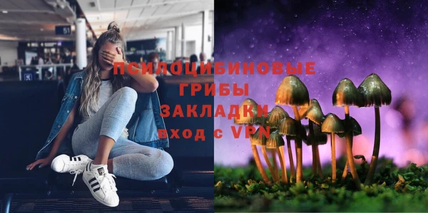 прущие крисы Абаза