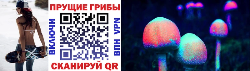 Галлюциногенные грибы Psilocybine cubensis  Черемхово 